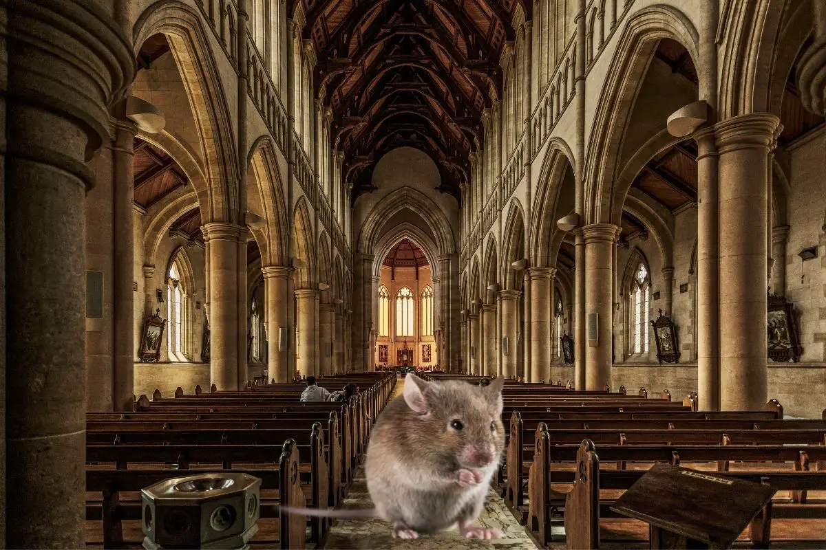 “The good church mouse” – Prayers, Poems, and Christian Ponderings